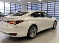 Lexus ES 300 2022 - Sẵn xe giao ngay, bảo hành, bảo dưỡng xe miễn phí trong 3 năm