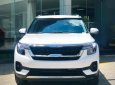 Kia Seltos 2022 - giá xe Kia Seltos Luxury Quy Nhơn Bình Định