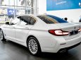 BMW 520i 2020 - Xe nhập giá 2 tỷ 379tr