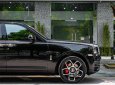 Rolls-Royce Cullinan 2020 - Giá 39 tỷ 500tr, xe màu đen