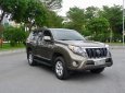 Toyota Land Cruiser Prado 2013 - Cần bán xe đăng ký 2013 xe gia đình, giá thương lượng