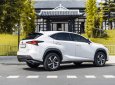 Lexus NX 300 2021 - Chạy cực ít biển tỉnh