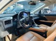Lexus RX 300 2021 - Xe nhập khẩu, biển thành phố, cực sang và đẹp