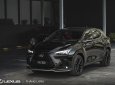 Lexus NX 350 2022 - Xe giao sớm, bảo dưỡng/bảo hành miễn phí trong 3 năm - Chính hãng showroom