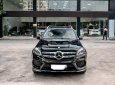 Mercedes-Benz GLS 500 2016 - Xe rất hiếm và hót