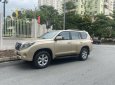 Toyota Land Cruiser Prado 2010 - Odo 12 vạn km