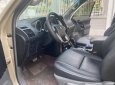 Toyota Land Cruiser Prado 2010 - Odo 12 vạn km