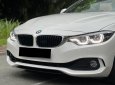 BMW 430i 2016 - Model 2017 duy nhất thị trường