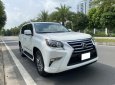 Lexus GX 460 2010 - Bản Luxury nhập Mỹ