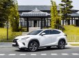 Lexus NX 300 2021 - Chạy cực ít biển tỉnh