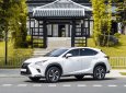 Lexus NX 300 2021 - Chạy cực ít biển tỉnh