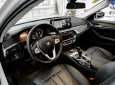 BMW 520i 2020 - Xe nhập giá 2 tỷ 379tr