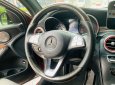 Mercedes-Benz GLC 300 2016 - Bao check test kiểm tra