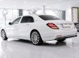 Mercedes-Maybach S 450 2021 - Tên công ty xuất hoá đơn