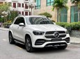 Mercedes-Benz GLE 450 2020 - Đăng ký 2020, xe nhập, giá tốt