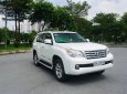 Lexus GX 460 2011 - Bản full giá 1 tỷ 650 triệu