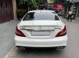 Mercedes-Benz CLS 500 2014 - Tên tư nhân