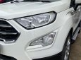 Ford EcoSport 2019 - Xe đúng chất gia đình, còn bảo hành chính hãng Ford