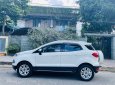 Ford EcoSport 2016 - Xe màu trắng 