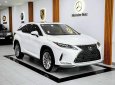 Lexus RX 300 2022 - Xe lướt như mới, nguyên zin từ sơn đến nội thất cần bán