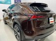 Lexus NX 300 2019 - Sang trọng - Đẳng cấp