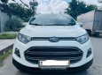 Ford EcoSport 2016 - Xe màu trắng 