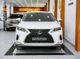 Lexus RX 300 2022 - Xe lướt như mới, nguyên zin từ sơn đến nội thất cần bán