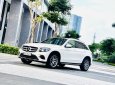 Mercedes-Benz GLC 300 2017 - Hỗ trợ trả góp, giao xe, test hãng toàn quốc