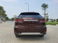 Lexus RX 300 2021 - Xe có full lịch sử bảo dưỡng hãng