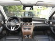 Mercedes-Benz C 250 2020 - Đen óng ả