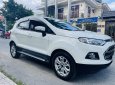 Ford EcoSport 2016 - Xe màu trắng 