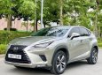 Lexus NX 300 2020 - Biển HN, tên cá nhân