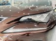 Lexus NX 300 2019 - Miễn phí 100% thuế trước bạ - Tặng ngay 1 miếng vàng thần tài khi mua xe trong tháng