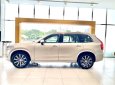 Volvo XC90 2022 - 3 năm miễn phí bảo dưỡng và voucher