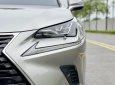 Lexus NX 300 2020 - Biển HN, tên cá nhân