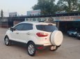 Ford EcoSport 2014 - Ford EcoSport 2014 số tự động