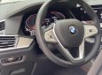 BMW X7 2022 - Xe màu trắng