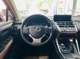 Lexus NX 300 2019 - Miễn phí 100% thuế trước bạ - Tặng ngay 1 miếng vàng thần tài khi mua xe trong tháng