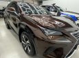 Lexus NX 300 2019 - Sang trọng - Đẳng cấp