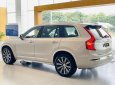 Volvo XC90 2022 - 3 năm miễn phí bảo dưỡng và voucher