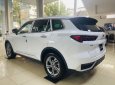 Ford Territory 2022 - Đủ màu, giao ngay tháng 1 - Ưu đãi giảm tiền mặt, tặng gói PK chính hãng - Trả trước 239 triệu lăn bánh