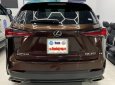 Lexus NX 300 2019 - Sang trọng - Đẳng cấp