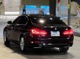 BMW 530i 2019 - Bản nhập khẩu full option