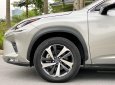 Lexus NX 300 2020 - Biển HN, tên cá nhân