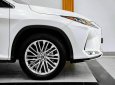 Lexus RX 300 2022 - Xe lướt như mới, nguyên zin từ sơn đến nội thất cần bán