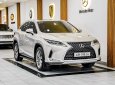 Lexus RX 300 2022 - Xe mới đến 99% cần bán