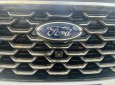 Ford Territory 2022 - Khuyến mãi lên tới 50tr đồng. Đủ màu, giao ngay, trả góp 80%