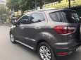 Ford EcoSport 2015 - Màu xám giá ưu đãi