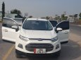 Ford EcoSport 2014 - Sơn căng bóng