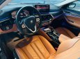 BMW 520i 2020 - Đã chạy 19 000 km